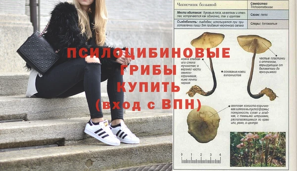 COCAINE Алексеевка